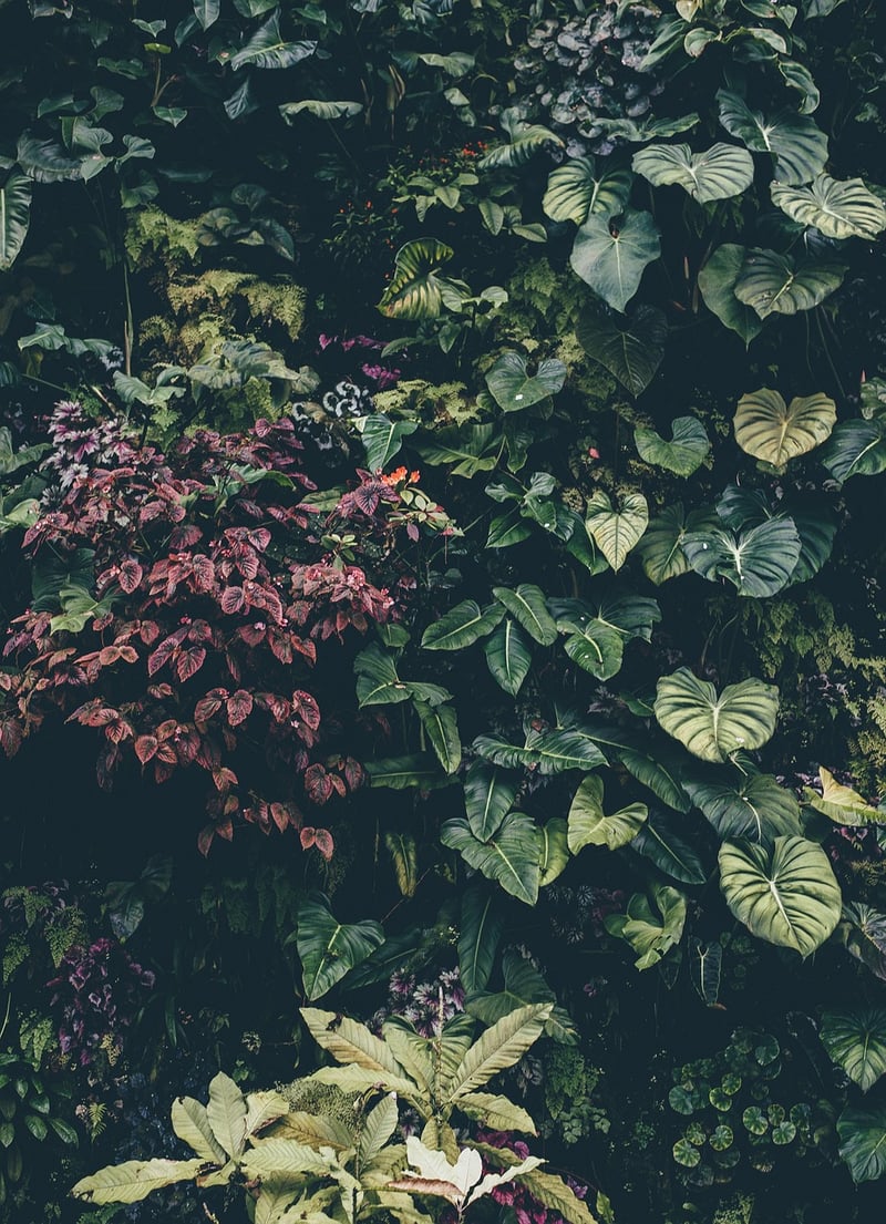 Botanical Landscapes